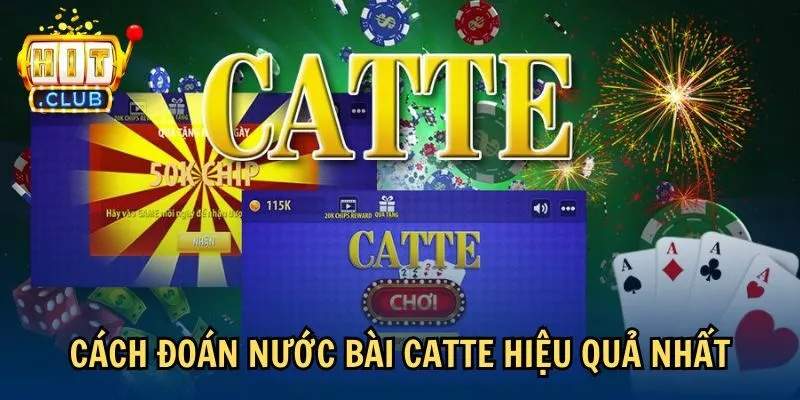 hieu qua cach doan nuoc bai catte Cách đoán nước bài catte hiệu quả nhất