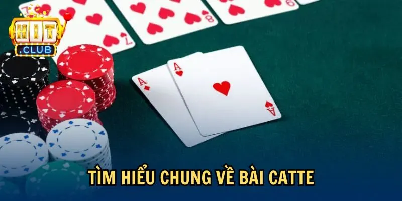 tim hieu cach doan nuoc bai catte Tìm hiểu chung về bài Catte
