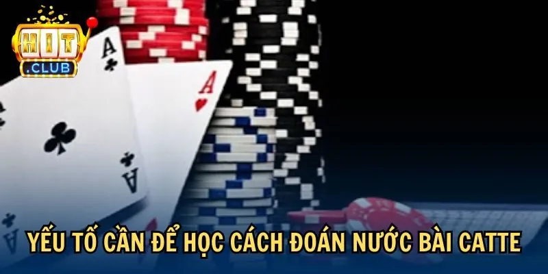 yeu to cach doan nuoc bai catte Yếu tố cần để học cách đoán nước bài catte